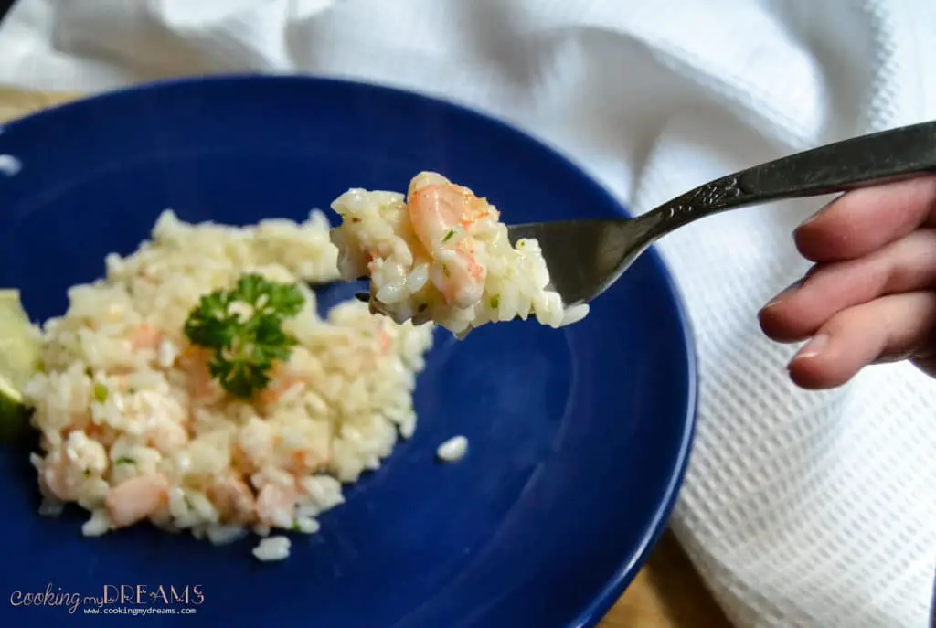 Fork holding risotto with shrimps