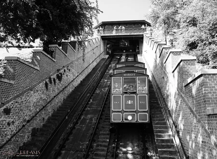 Budapest funicular in black and white