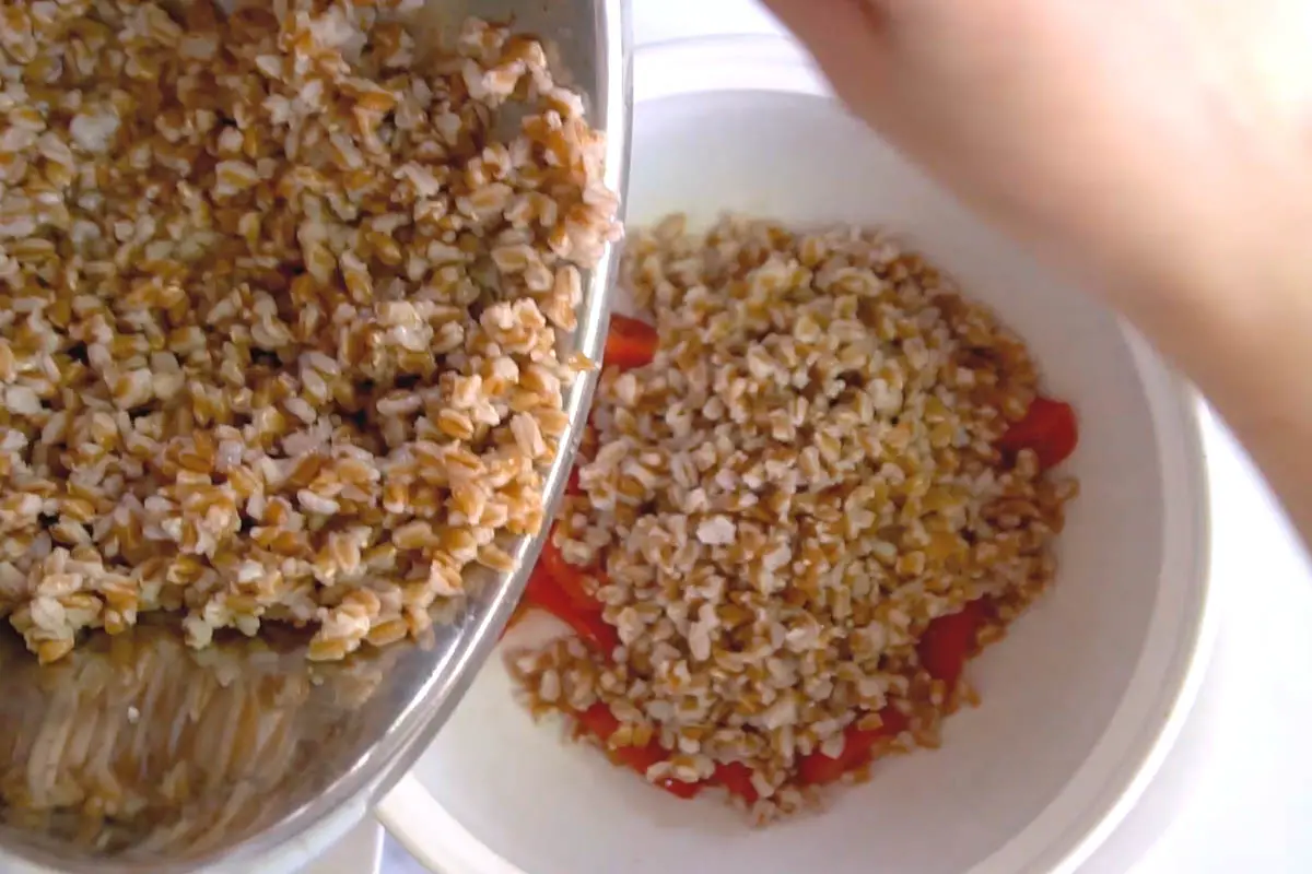 hands pouring cooked farro into a bowl.