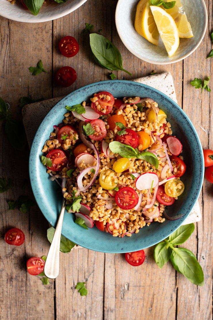 large bowl of farro salad with tomatoes