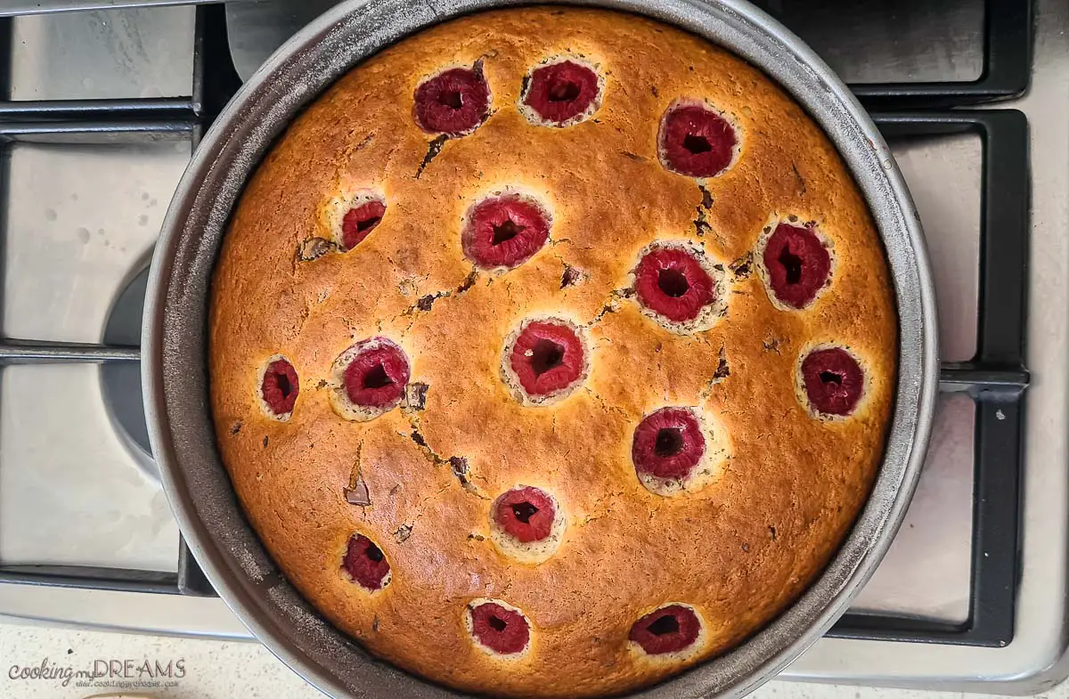 baked cake inside its pan cooling down