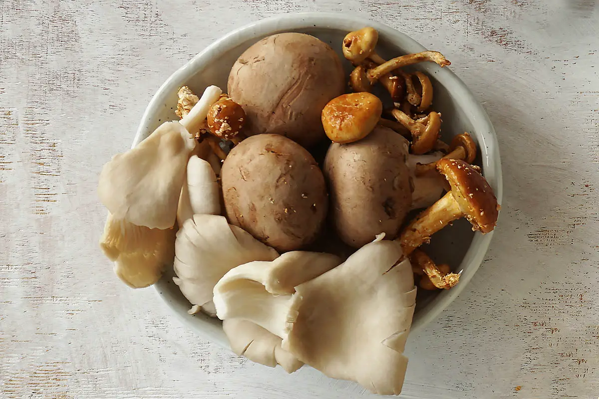 wild mushroom mix in a bowl