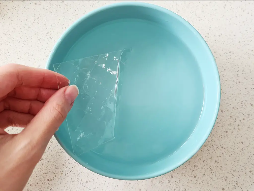 hand putting gelatin in a bowl of water