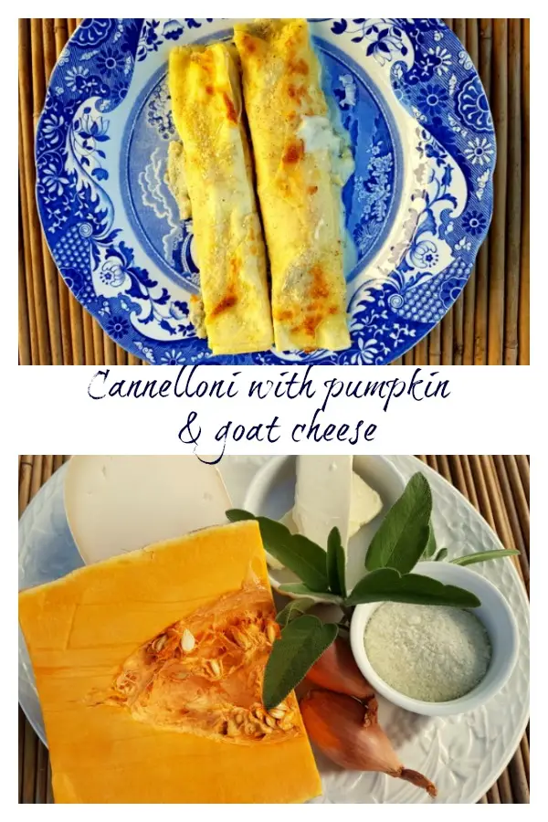 pumpkin cannelloni on a plate and plate with ingedients