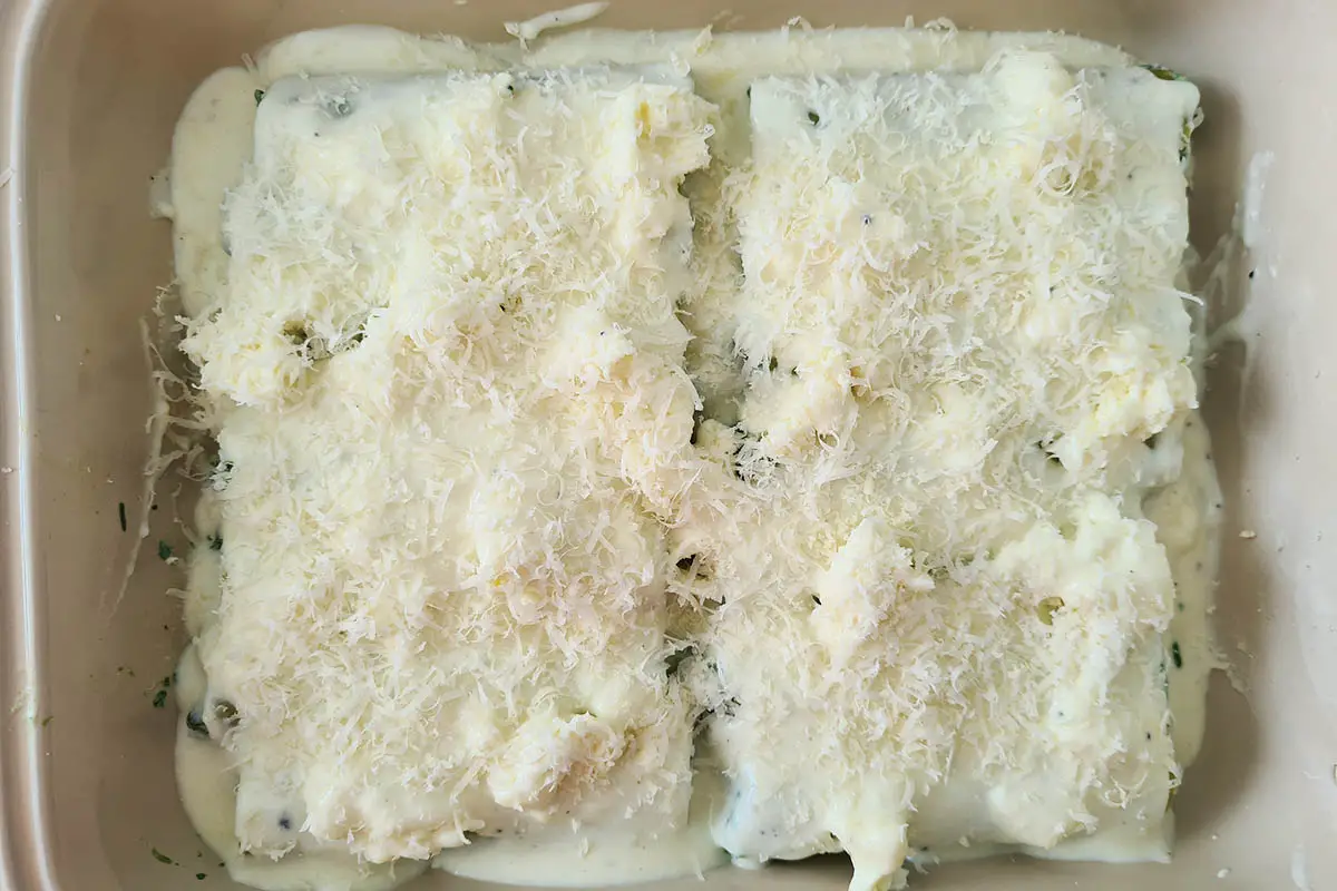 final layer of bechamel and parmesan on top of cannelloni.