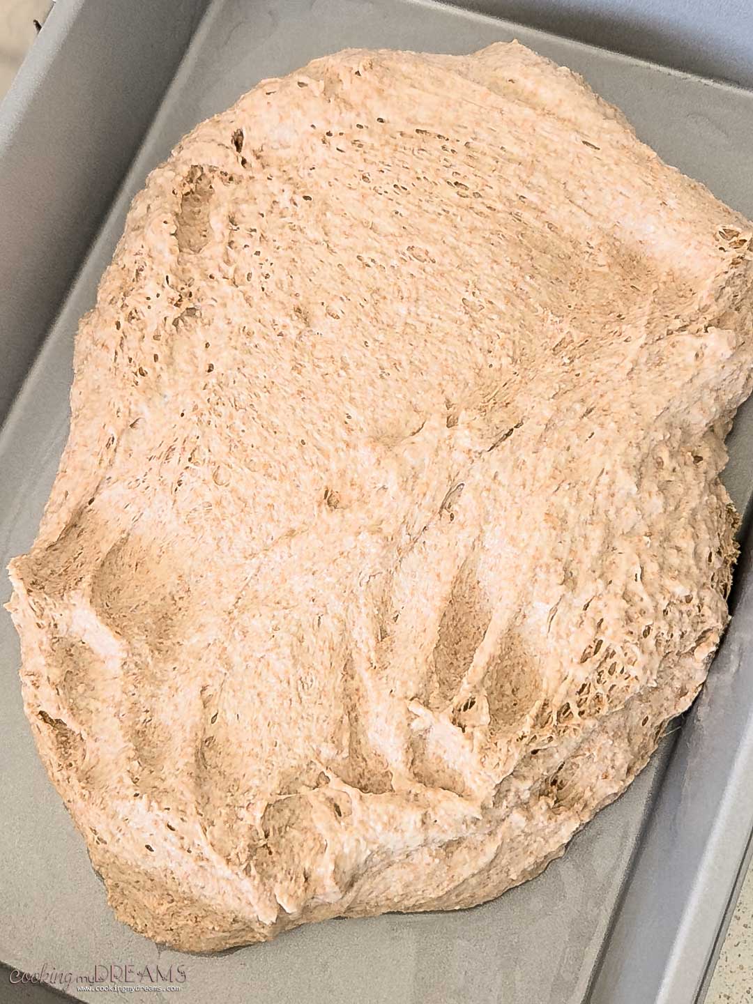 whole wheat focaccia dough being stretched in a baking pan.